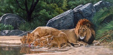 lion pride drinking Oil Paintings